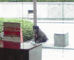 P1000244.JPG