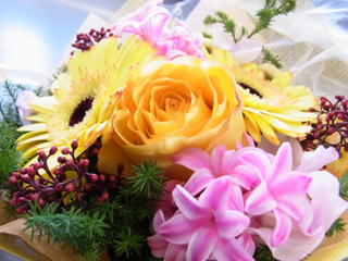 image-20111127191149.png