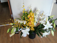 image-20120730162009.png