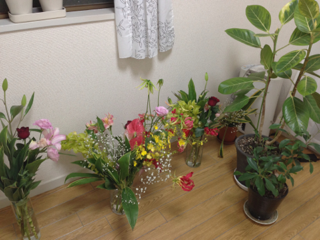 image-20121210135809.png