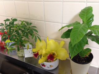 image-20121210135826.png
