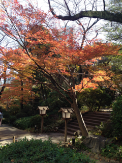 image-20121210140403.png