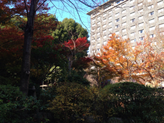 image-20121210140459.png