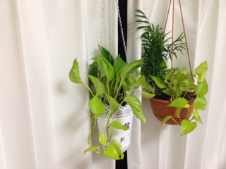 image-20121210140704.png