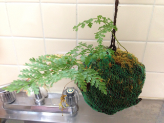 image-20121210140717.png