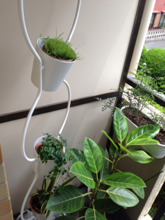 image-20130629080246.png