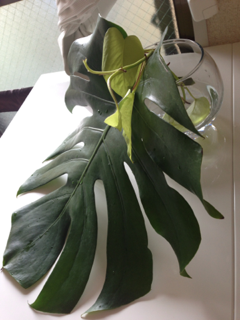 image-20130629080654.png