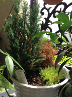 image-20130629081055.png