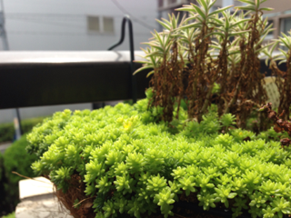 image-20130629081148.png