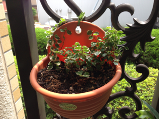 image-20130629081446.png