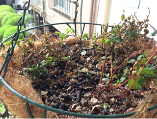 image-20130629081556.png