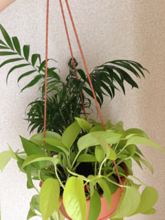 image-20130629081732.png