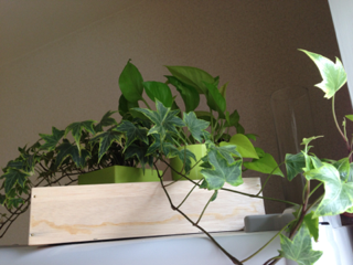 image-20130629082536.png