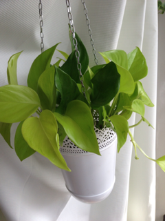 image-20130629084615.png