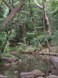 image-20130922223407.png