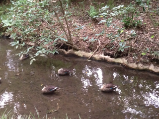 image-20130922223529.png