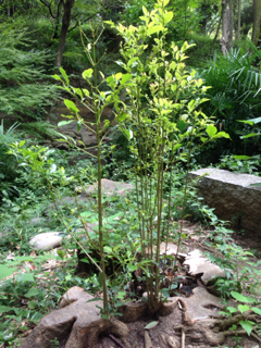 image-20130922223545.png
